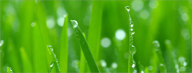 green color