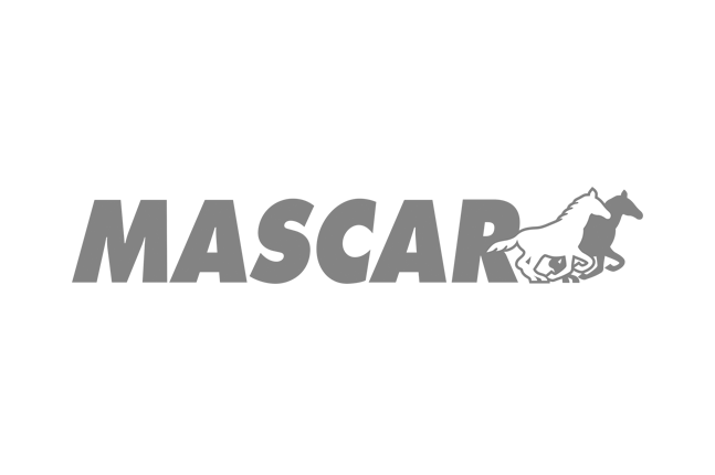 logo mascar Antartika